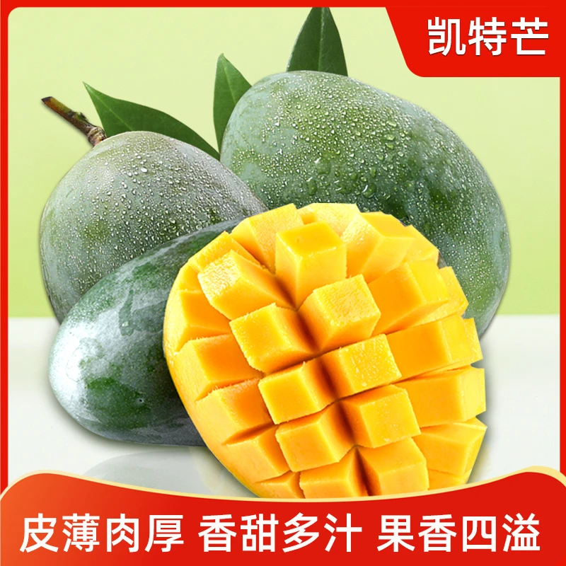 新鲜凯特芒果攀枝花纯甜果园直发多汁肉厚坏果包赔芒果凯特芒正宗
