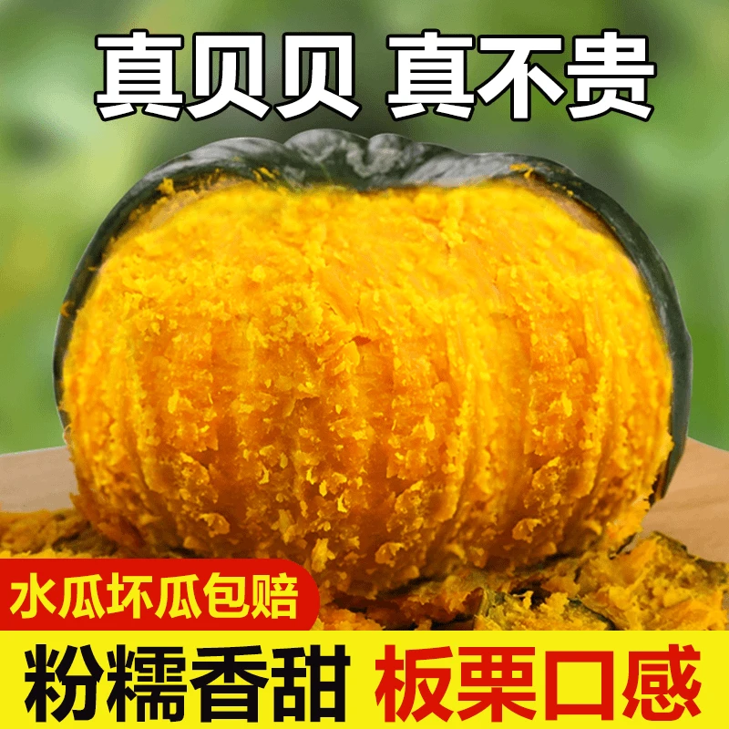 z正宗贝贝南瓜沙漠贝贝粉面软糯健康4.5斤板栗南瓜老南瓜新鲜采摘
