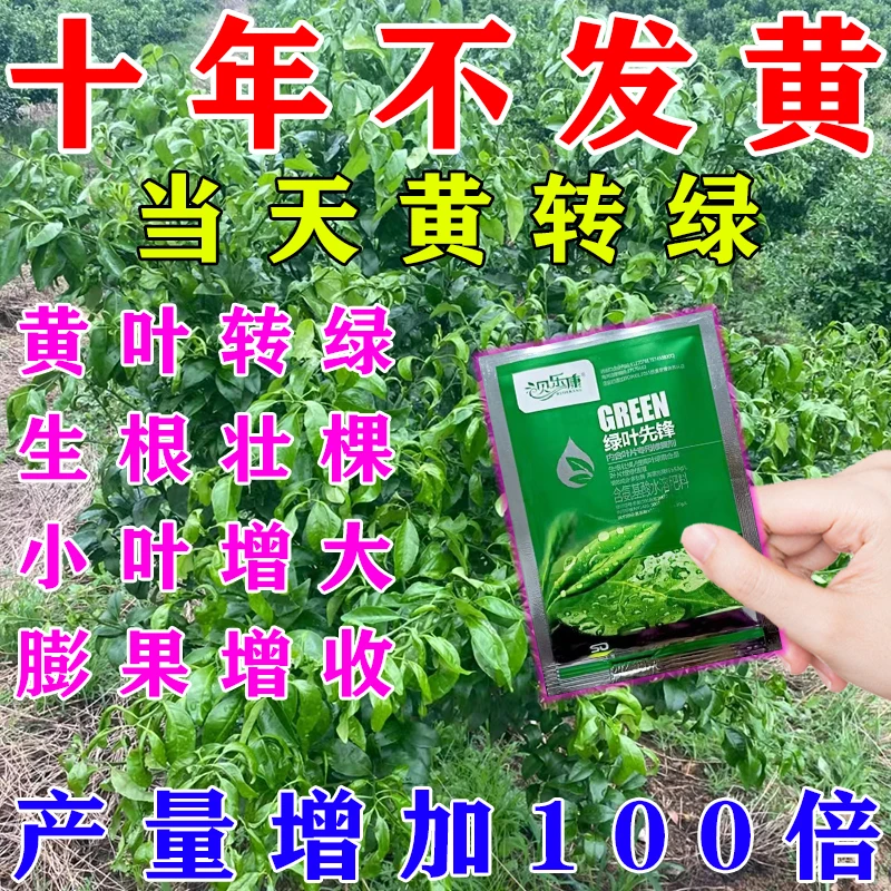 专治黄叶黄化病】柑橘火龙果甘蔗槟榔果树黄化落叶落果专用水溶肥