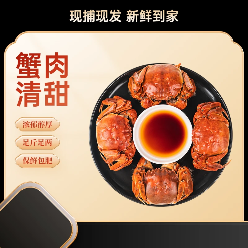 【活蟹现发】精品大闸蟹全母蟹2.5两-2.2两*10只 严选品质 顺丰冷链