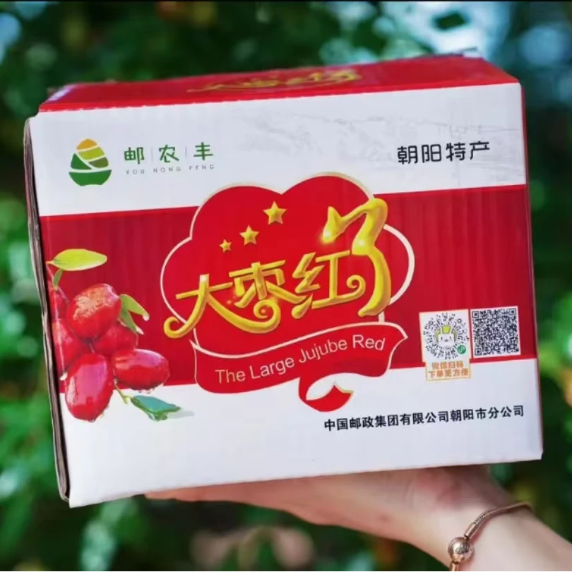【省内拍】朝阳特产5斤孙家湾大枣鲜枣新鲜大枣