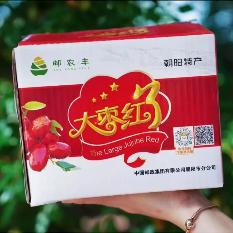 【省外拍】朝阳特产5斤孙家湾大枣鲜枣平顶大枣