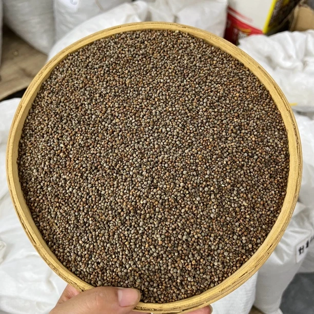 【紫苏子】黑龙江种植紫苏子 干净无硫 自然晾晒250g包邮 另售山药