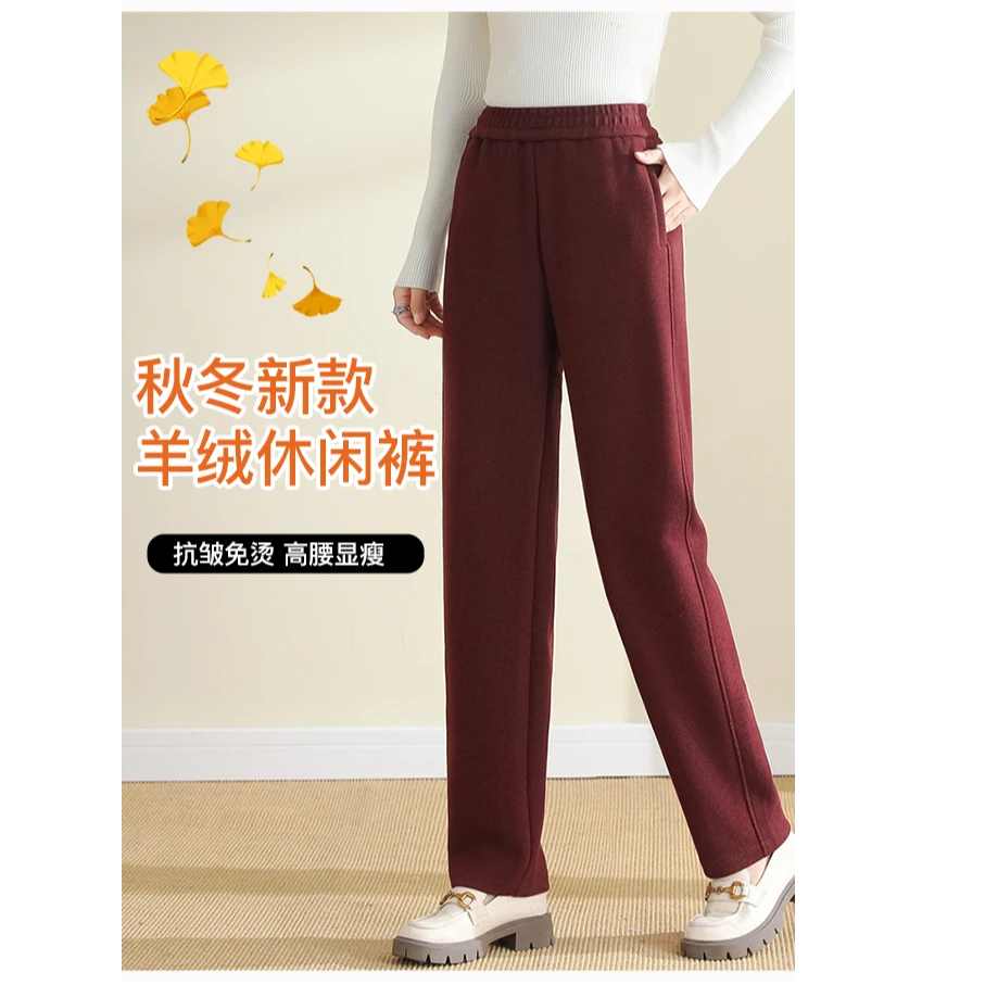 秋冬上新【WV羊绒醋酸纤维】休闲裤显瘦时尚 2669