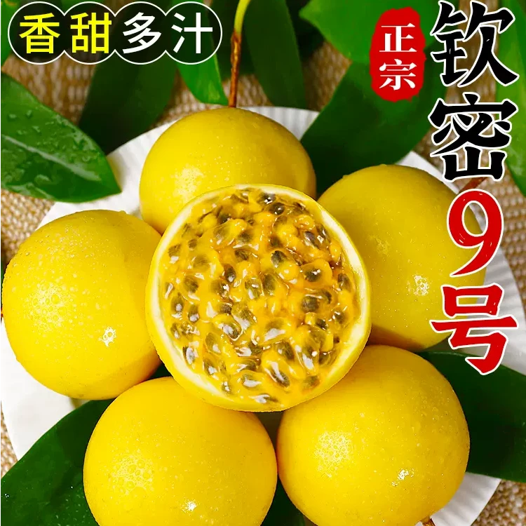 [产地直发]10斤装广西钦密9号黄金百香果新鲜大果酸甜多汁包邮