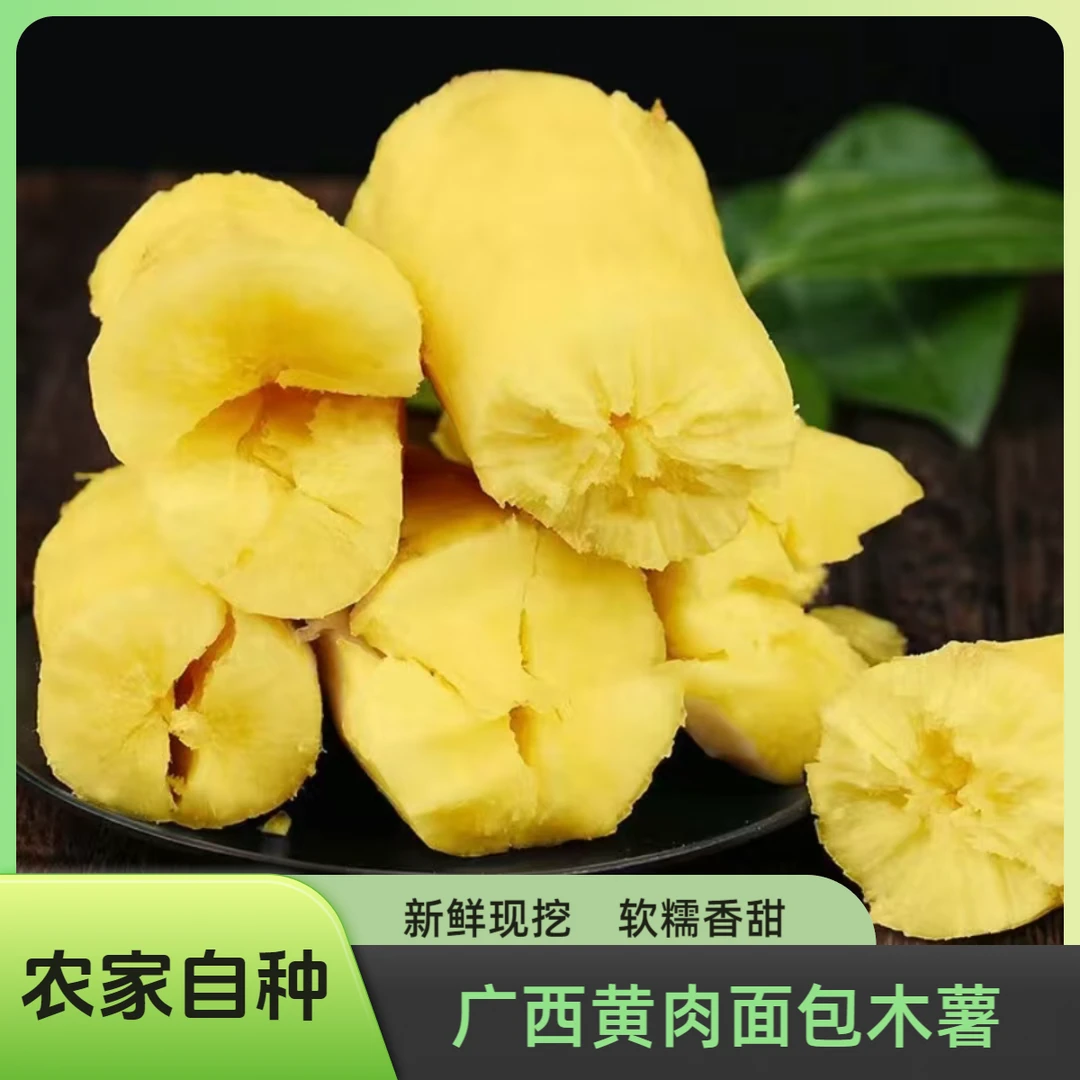 广西特产黄肉木薯新鲜现挖香甜软糯木薯糖水木薯羹糖水店同款