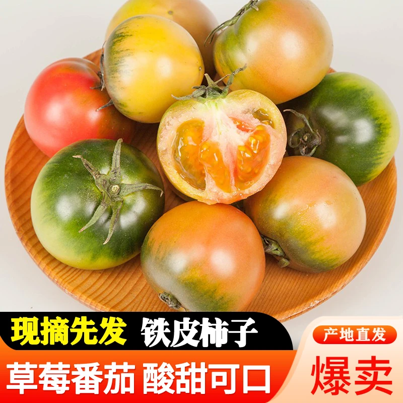 辽宁丹东铁皮柿子5斤新鲜 草莓柿子 碱地柿子顺丰快递