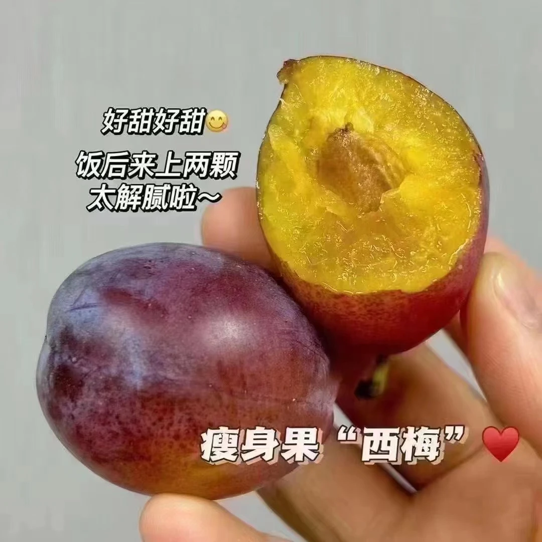 西梅（500克）