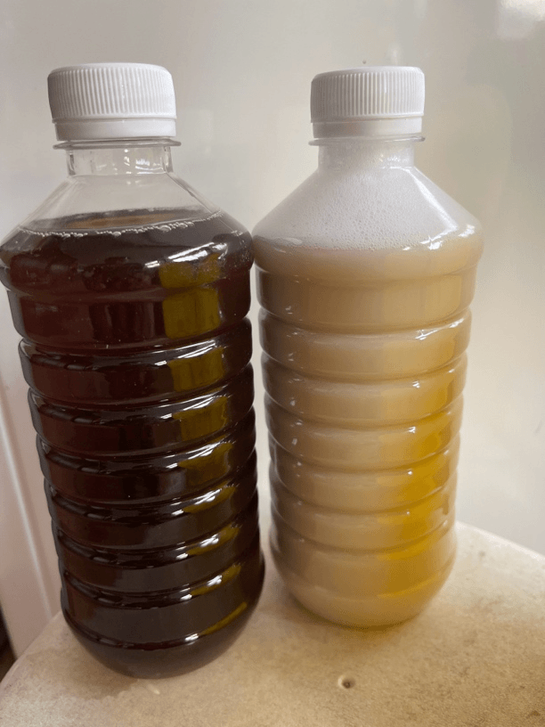 长春精品国兰生根液促进根系发达
