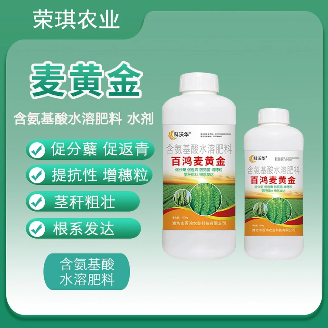 麦黄金小麦专用抗倒伏促反青促分孽灌浆増穗粒水溶肥料小麦增产
