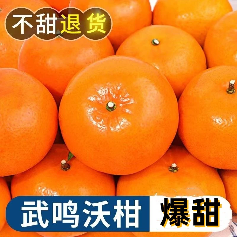 正宗广西武鸣沃柑新鲜水果当季水果广西沃柑柑橘桔子橘子沙糖桔子