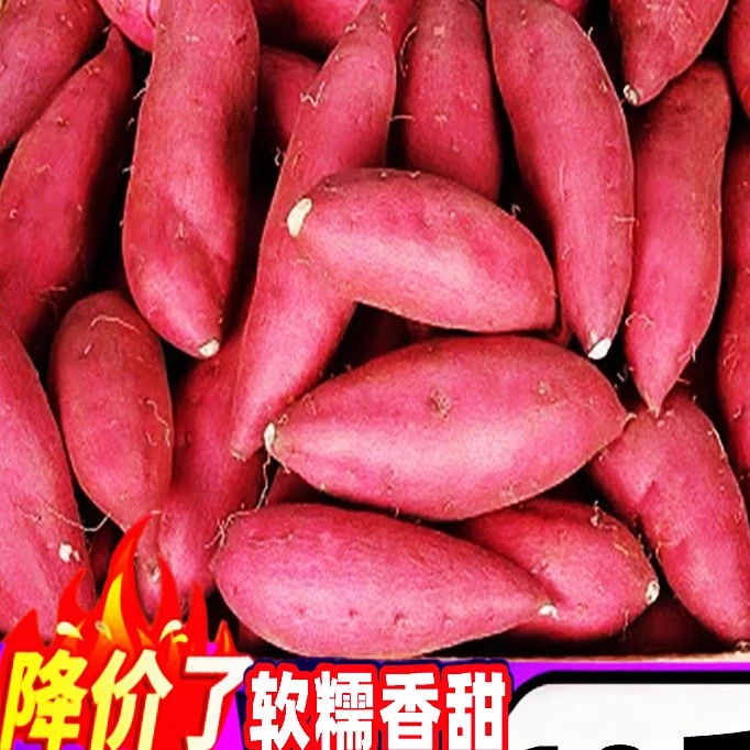 正宗西瓜红蜜薯新鲜糖心板栗番薯沙地红薯粉糯香地瓜蔬菜农家自种