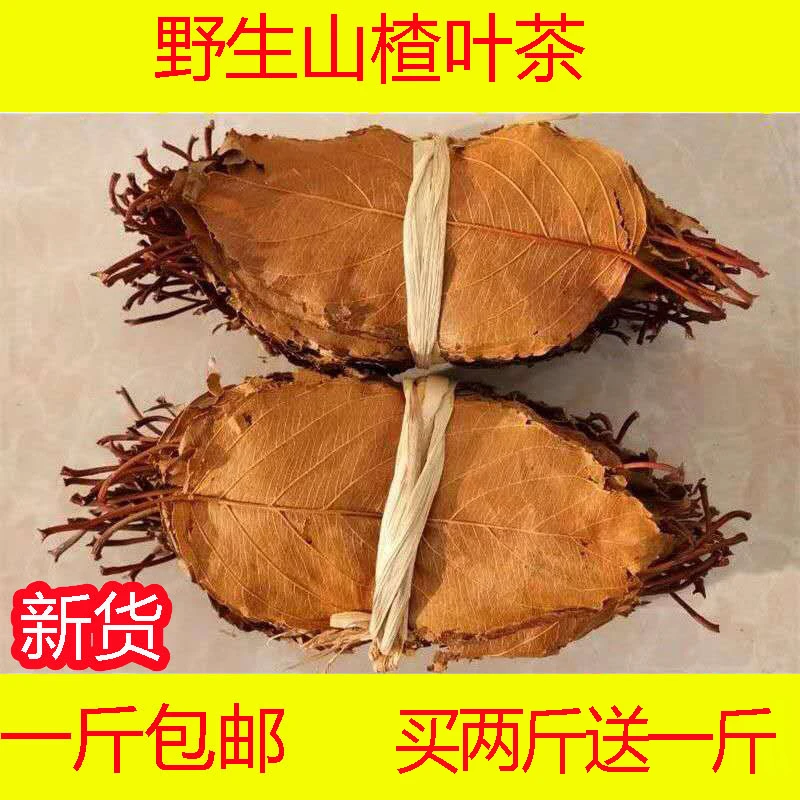 粤北山区老树山楂叶大块叶解腻去油茶饮健康选择