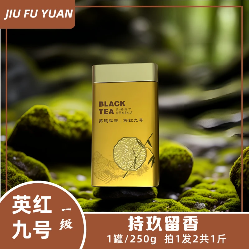 英红九号2023新茶浓香型高端送礼自喝花果香茶叶
