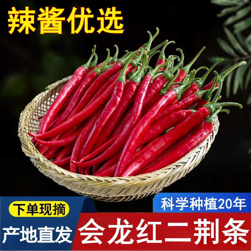 新鲜红辣椒二荆条红线椒现摘现发中辣长线辣椒剁椒酱辣椒5斤包邮