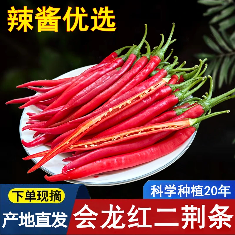 会龙辣椒新鲜红辣椒二荆条中辣红线椒尖椒长线辣椒剁椒3斤5斤包邮