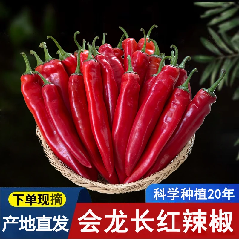 大红辣椒新鲜微辣长红辣椒泡椒现摘辣椒辣酱剁椒辣椒1斤3斤5斤