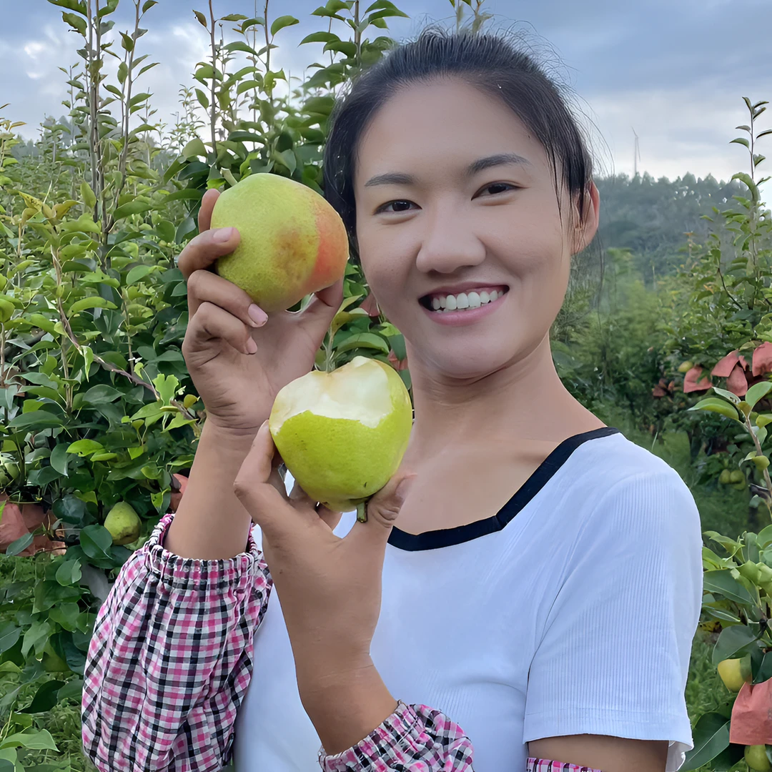 彝乡阿兰妹自家果园种植云南红梨火把梨当季新鲜水果（酸甜口感）