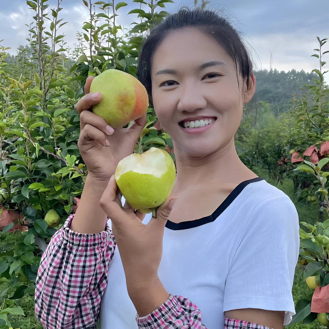彝乡阿兰妹自家果园种植云南红梨火把梨当季新鲜水果酸甜大果