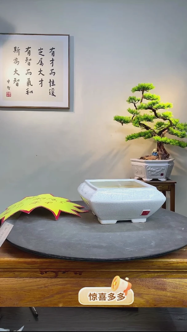 【闪购商品】921白