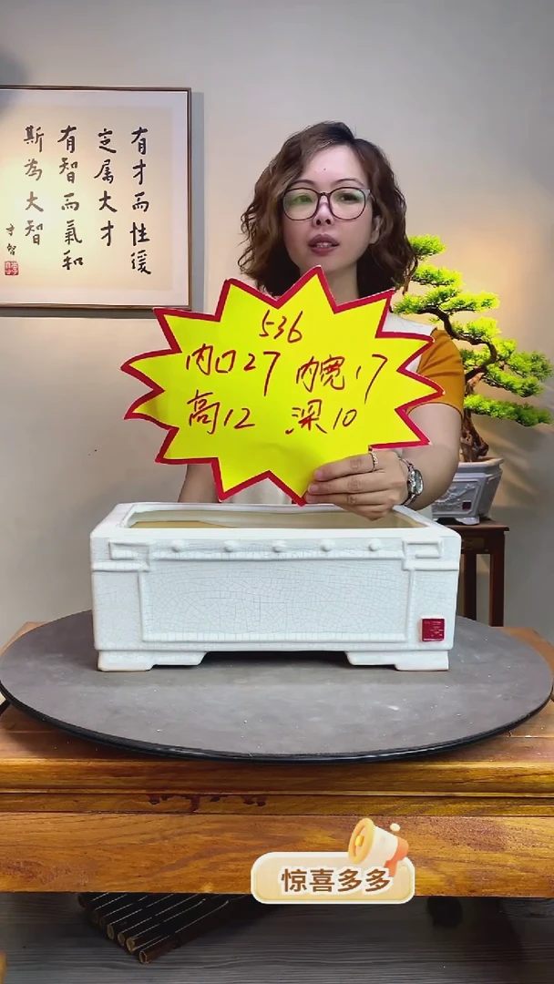 【闪购商品】536-白