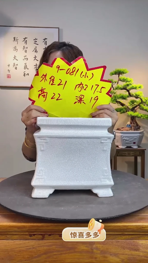 【闪购商品】081-小