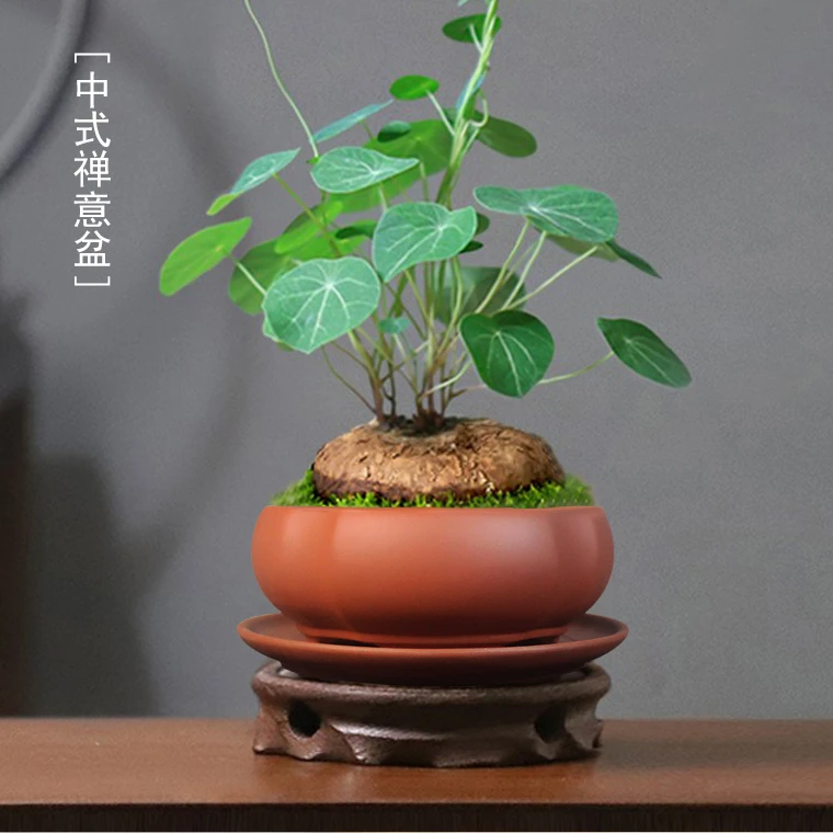 矮生文竹盆山乌龟室内小盆景盆 阳台客厅桌面陶瓷盆中式禅意盆