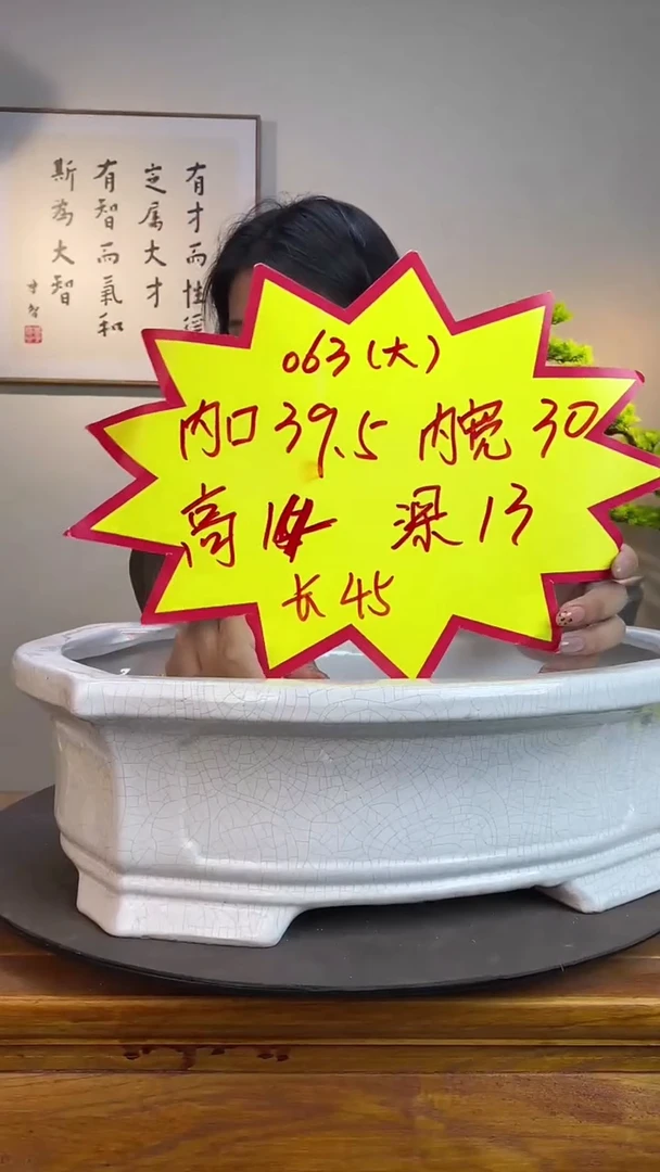 【闪购商品】陶瓷20CM（含）-50CM（不含）063大