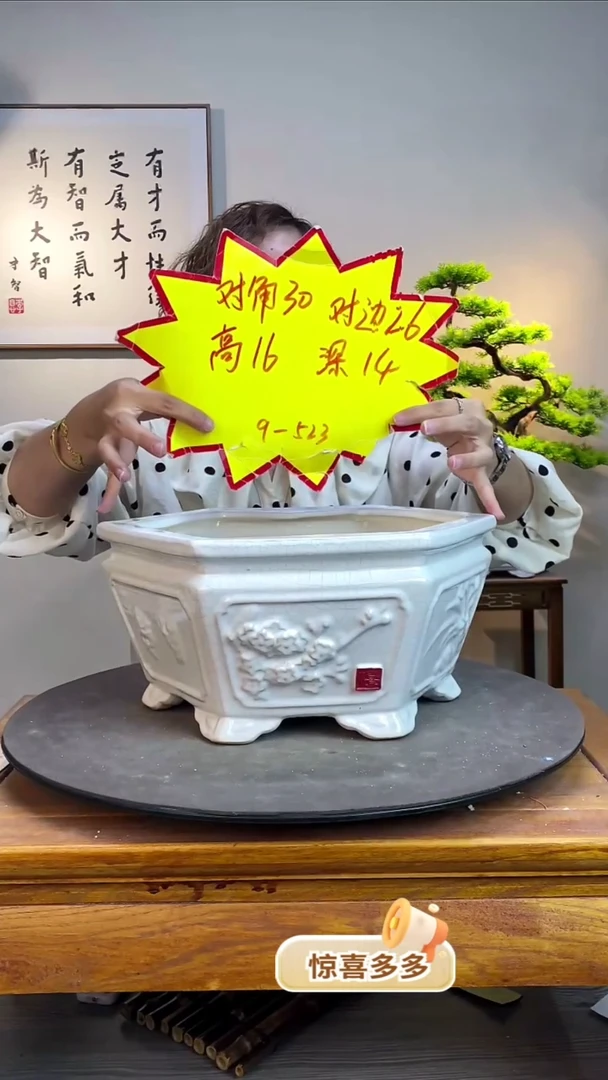 【闪购商品】523-白