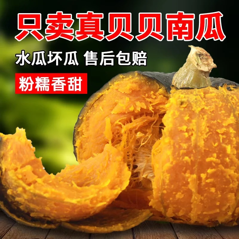 正宗沙漠真贝贝南瓜板栗粗粮低脂粗粮孕妇 婴儿辅食 粉糯香甜整箱