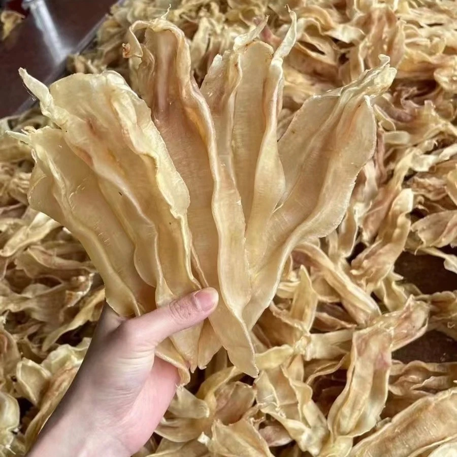 小太阳景云  北海尖尾公 鱼胶花胶 250g