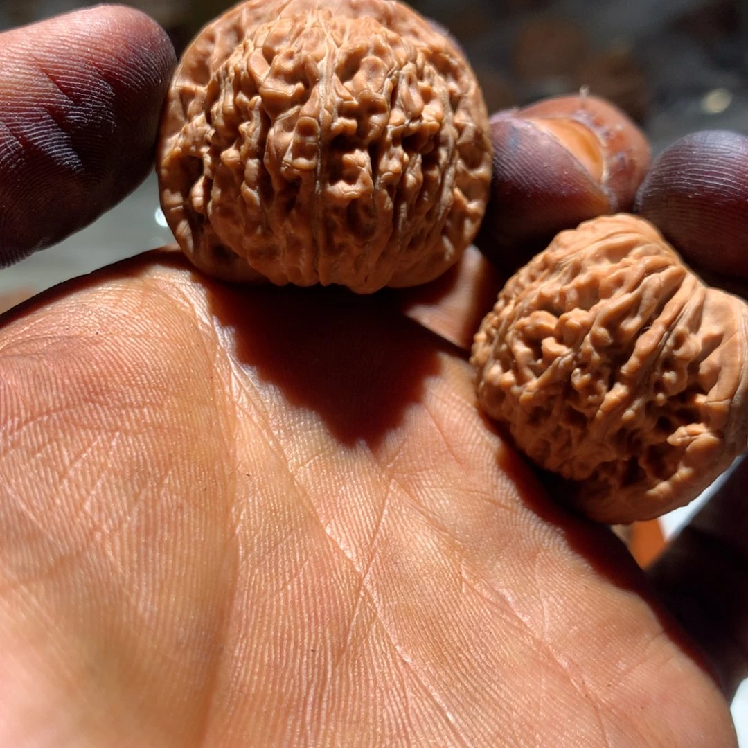 桃核吊坠晚*~43356778