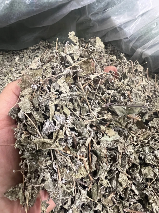 阳山特产 大自然的叶子 霉叶藤叶 250g