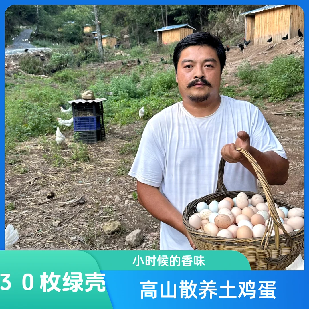 农场农家天然土鸡蛋小孩孕妇放心吃生态健康养殖喂养营养直供