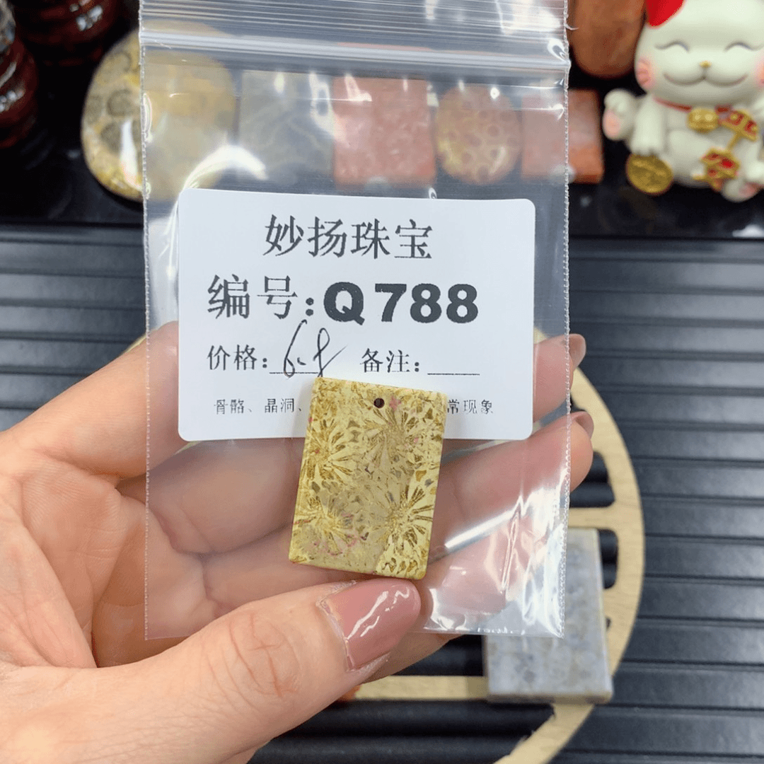 硅化珊瑚（珊瑚玉）1未镶嵌星*