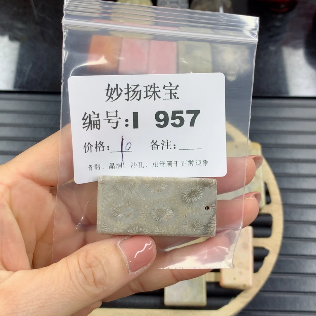 硅化珊瑚（珊瑚玉）1未镶嵌梦*