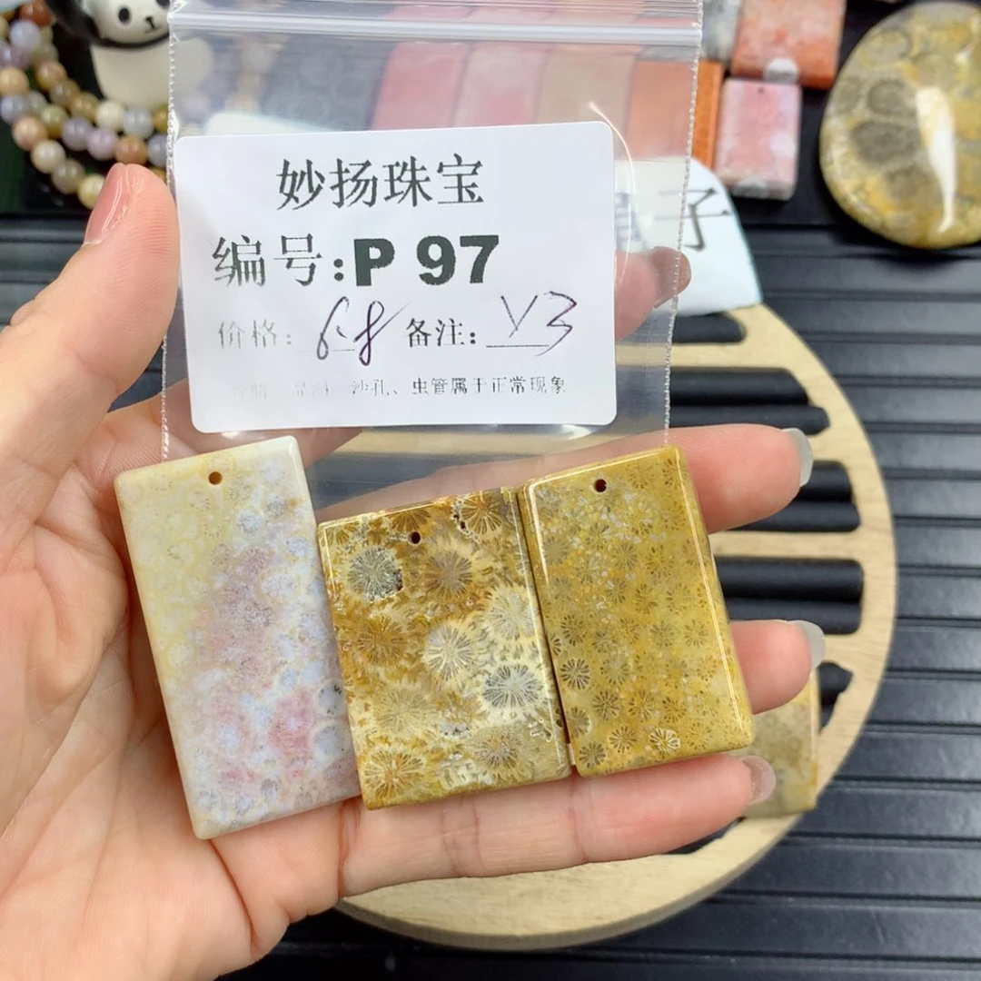 硅化珊瑚（珊瑚玉）1未镶嵌L****5