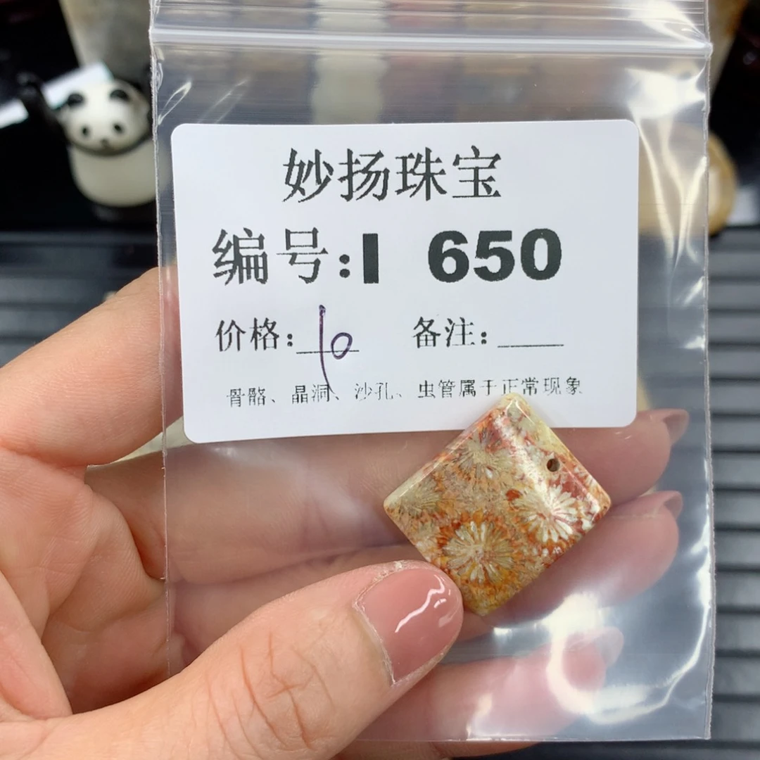 硅化珊瑚（珊瑚玉）1未镶嵌繁**点