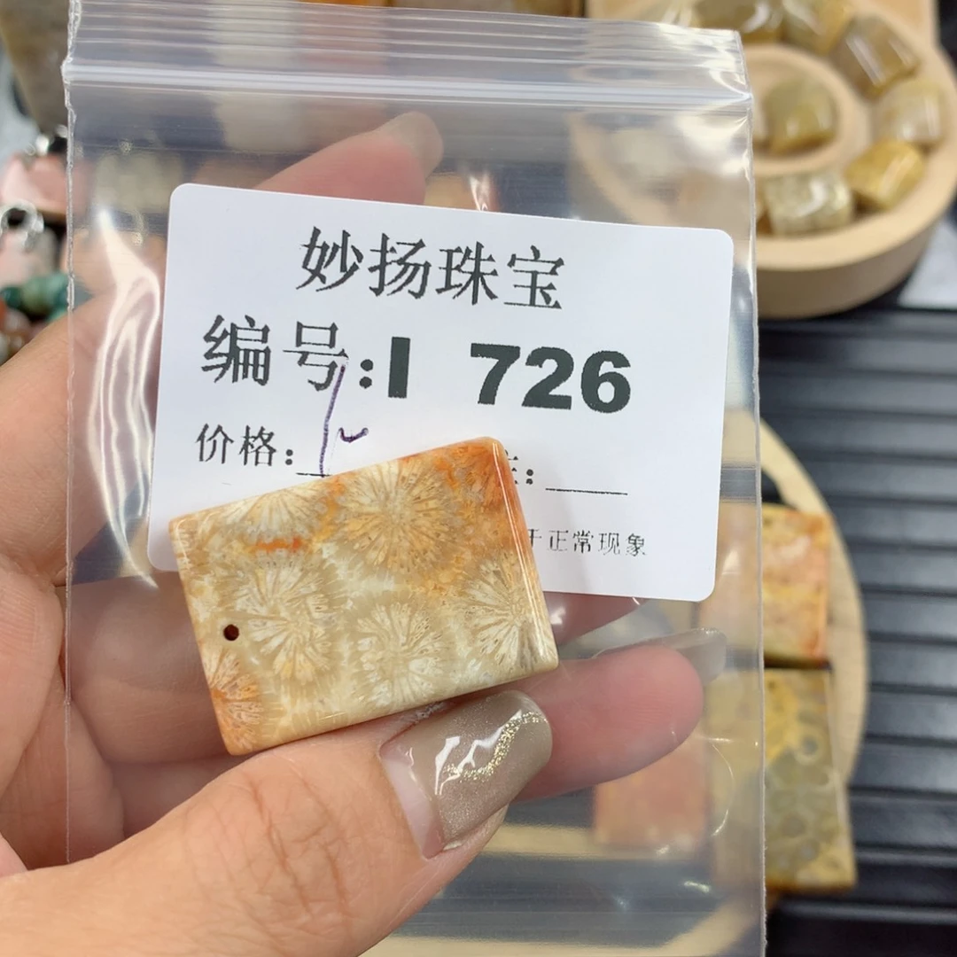 硅化珊瑚（珊瑚玉）1未镶嵌小***香