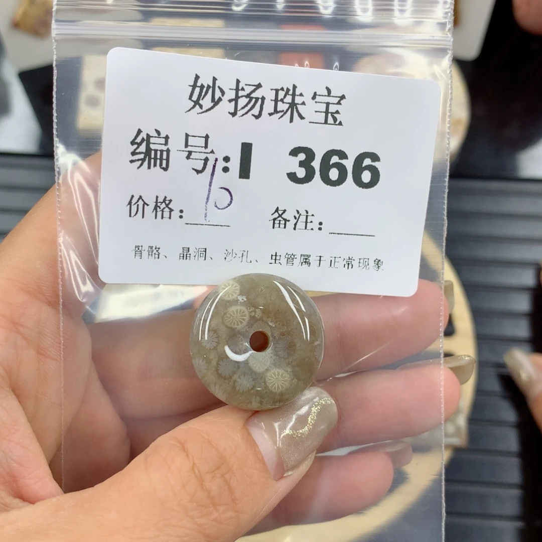 硅化珊瑚（珊瑚玉）1未镶嵌梦*