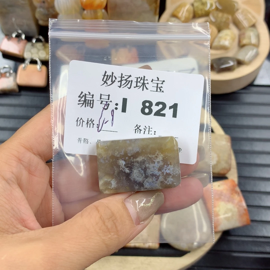 硅化珊瑚（珊瑚玉）1未镶嵌平*星