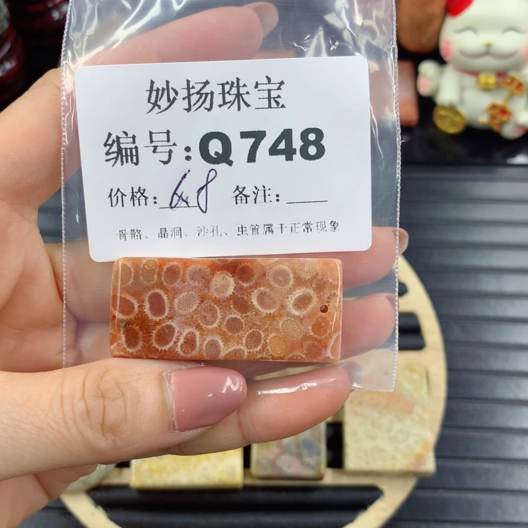 硅化珊瑚（珊瑚玉）1未镶嵌天*天