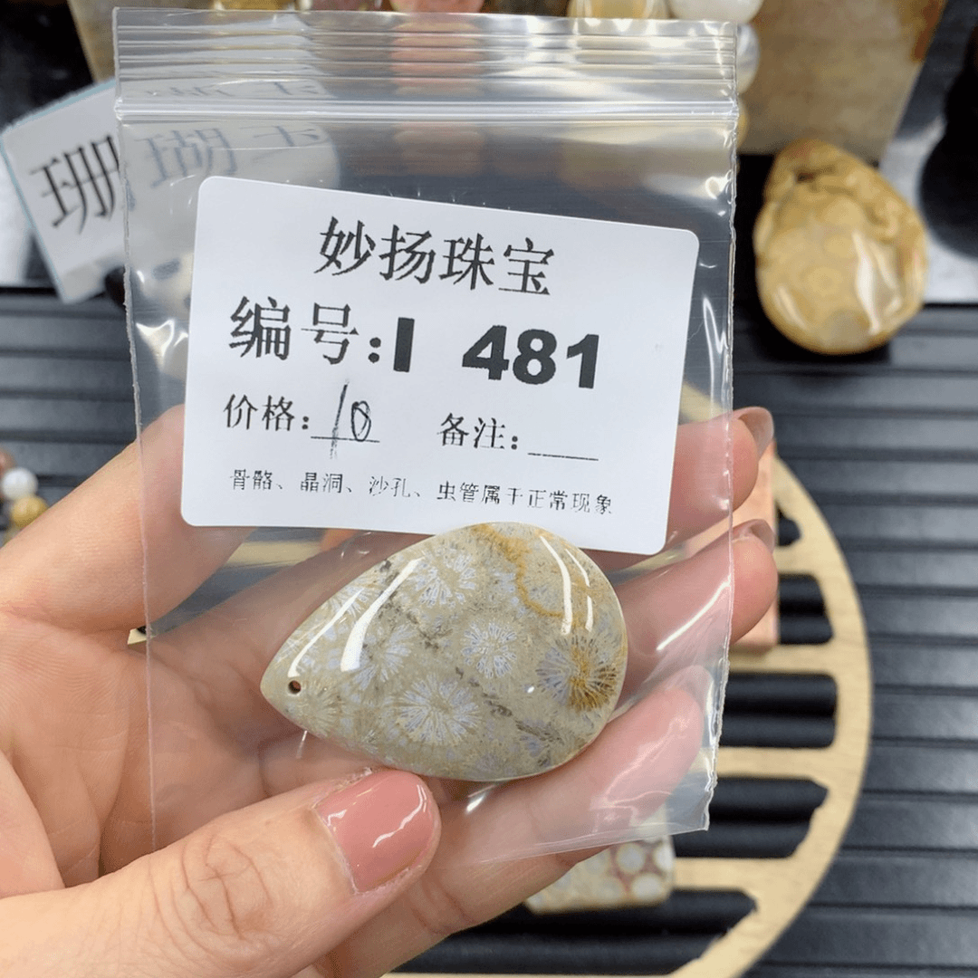 硅化珊瑚（珊瑚玉）1未镶嵌梦*