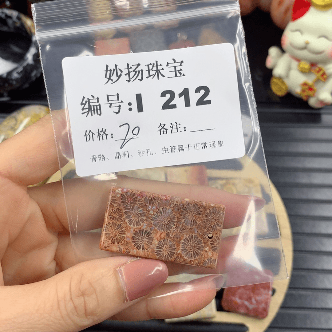 硅化珊瑚（珊瑚玉）1未镶嵌幸***?