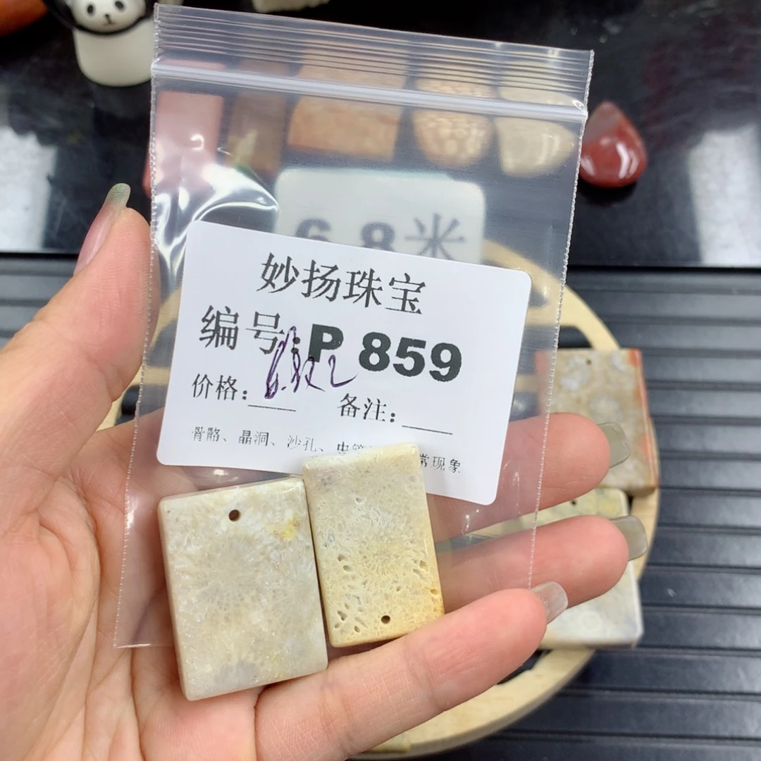 硅化珊瑚（珊瑚玉）1未镶嵌?*?