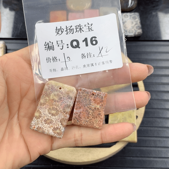 硅化珊瑚（珊瑚玉）1未镶嵌?*郡