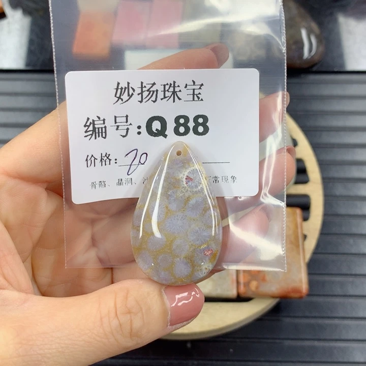 硅化珊瑚（珊瑚玉）1未镶嵌梦*