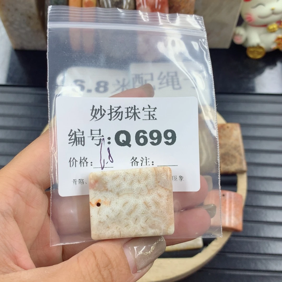 硅化珊瑚（珊瑚玉）1未镶嵌用****6