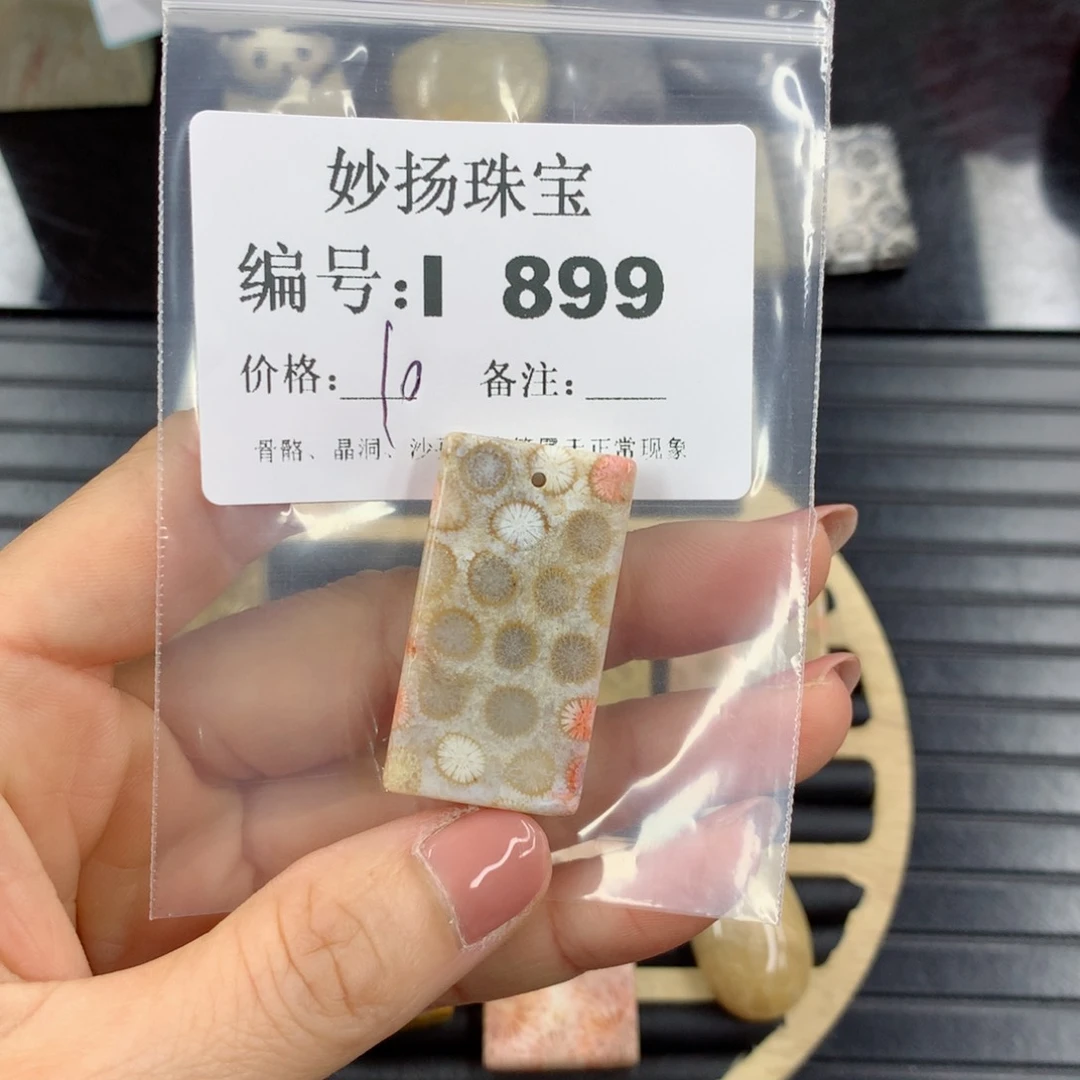 硅化珊瑚（珊瑚玉）1未镶嵌明****定