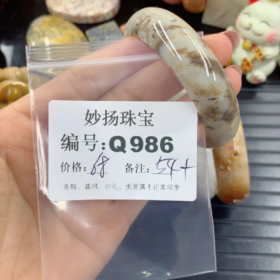 硅化珊瑚（珊瑚玉）1未镶嵌蓝*